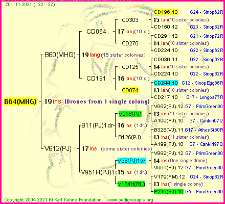 Pedigree of B64(MHG) :
four generations presented
it's temporarily unavailable, sorry!