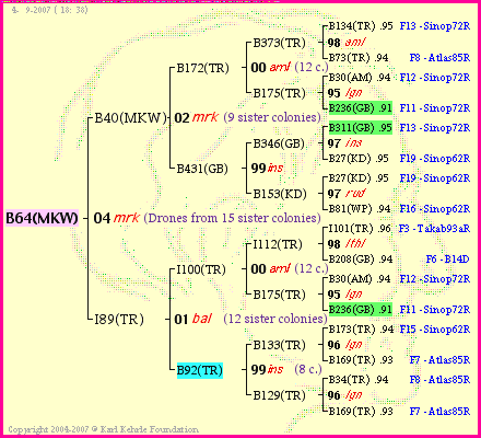 Pedigree of B64(MKW) :
four generations presented