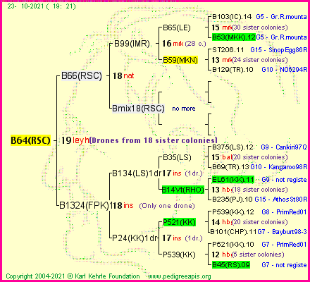 Pedigree of B64(RSC) :
four generations presented
it's temporarily unavailable, sorry!