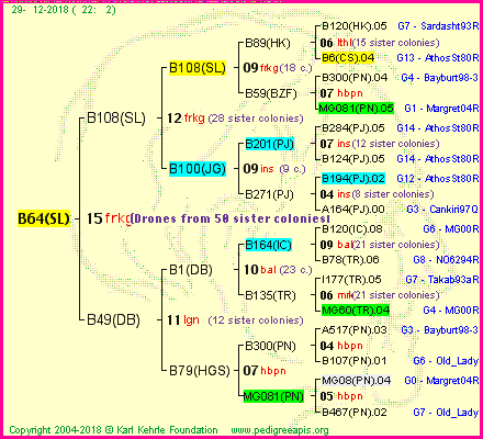 Pedigree of B64(SL) :
four generations presented<br />it's temporarily unavailable, sorry!