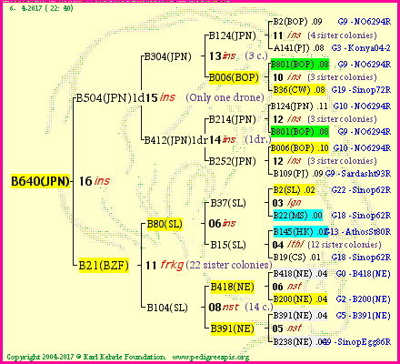 Pedigree of B640(JPN) :
four generations presented