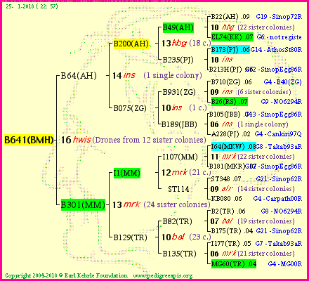 Pedigree of B641(BMH) :
four generations presented
it's temporarily unavailable, sorry!