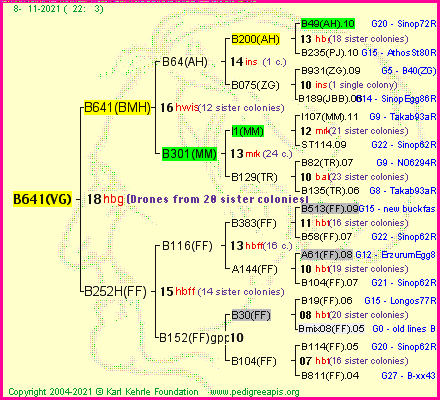 Pedigree of B641(VG) :
four generations presented
it's temporarily unavailable, sorry!