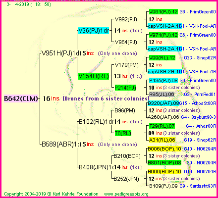 Pedigree of B642(CLM) :
four generations presented
it's temporarily unavailable, sorry!