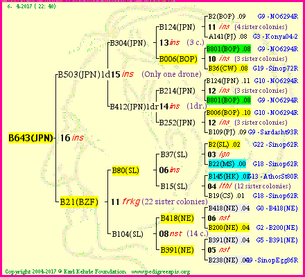 Pedigree of B643(JPN) :
four generations presented