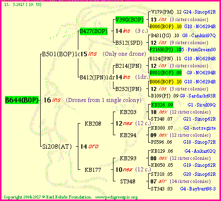 Pedigree of B644(BOP) :
four generations presented