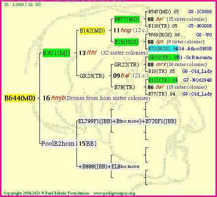 Pedigree of B644(MD) :
four generations presented