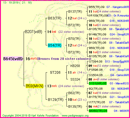 Pedigree of B645(vdB) :
four generations presented
it's temporarily unavailable, sorry!