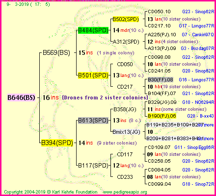 Pedigree of B646(BS) :
four generations presented
it's temporarily unavailable, sorry!