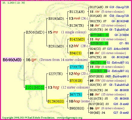 Pedigree of B646(MD) :
four generations presented<br />it's temporarily unavailable, sorry!