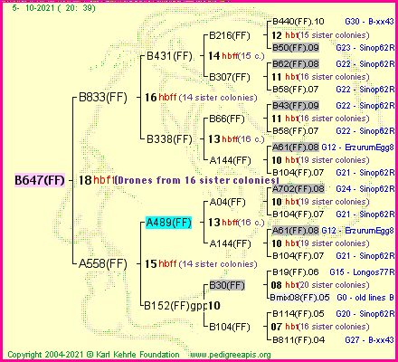 Pedigree of B647(FF) :
four generations presented
it's temporarily unavailable, sorry!