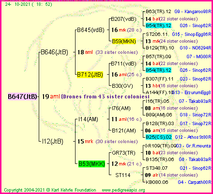 Pedigree of B647(JtB) :
four generations presented
it's temporarily unavailable, sorry!