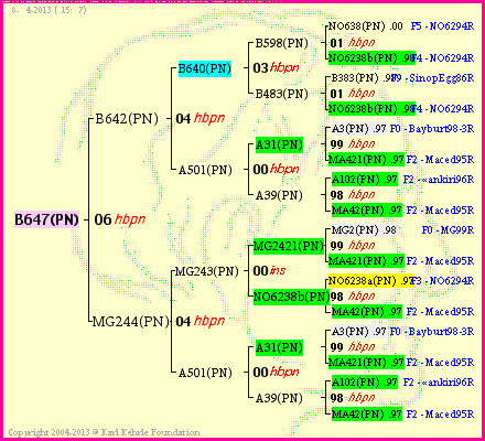 Pedigree of B647(PN) :
four generations presented