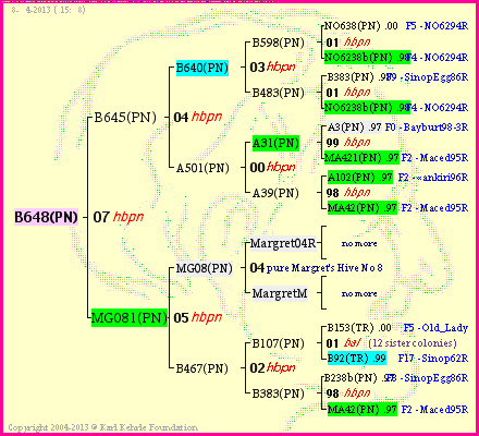 Pedigree of B648(PN) :
four generations presented