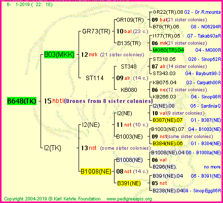 Pedigree of B648(TK) :
four generations presented<br />it's temporarily unavailable, sorry!