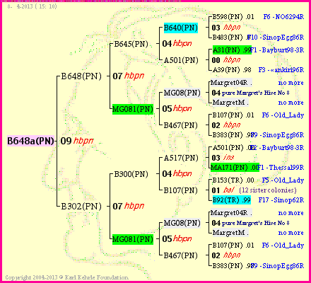 Pedigree of B648a(PN) :
four generations presented