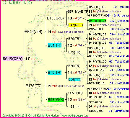 Pedigree of B649(GRA) :
four generations presented<br />it's temporarily unavailable, sorry!