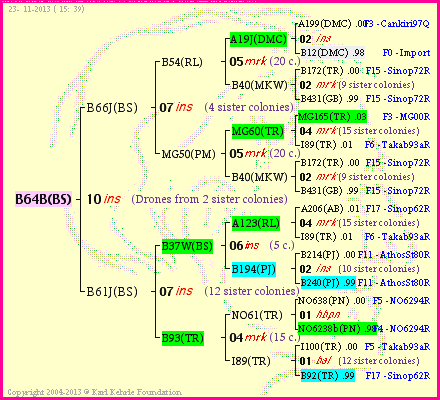 Pedigree of B64B(BS) :
four generations presented