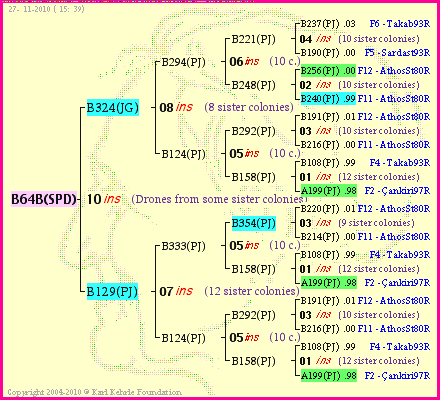 Pedigree of B64B(SPD) :
four generations presented