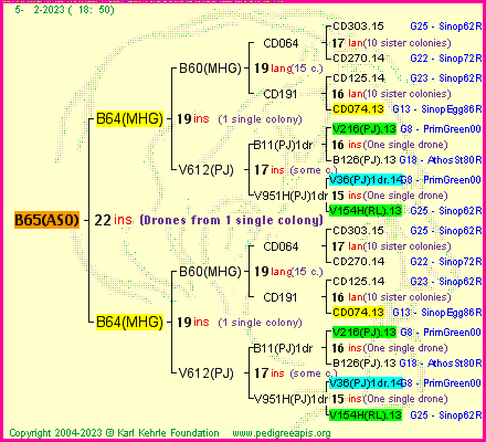 Pedigree of B65(ASO) :
four generations presented
it's temporarily unavailable, sorry!