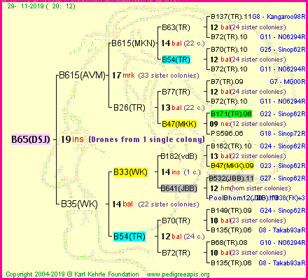 Pedigree of B65(DSJ) :
four generations presented
it's temporarily unavailable, sorry!