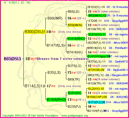 Pedigree of B65(DSU) :
four generations presented
it's temporarily unavailable, sorry!