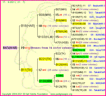 Pedigree of B65(HAR) :
four generations presented
it's temporarily unavailable, sorry!