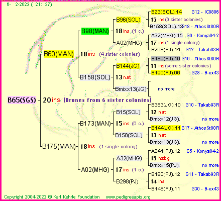 Pedigree of B65(SGS) :
four generations presented
it's temporarily unavailable, sorry!