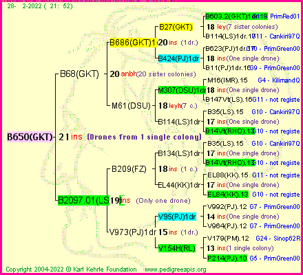 Pedigree of B650(GKT) :
four generations presented
it's temporarily unavailable, sorry!