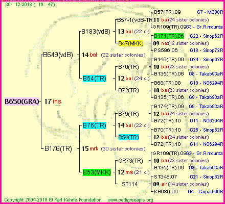 Pedigree of B650(GRA) :
four generations presented<br />it's temporarily unavailable, sorry!