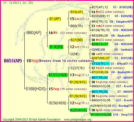 Pedigree of B651(AP) :
four generations presented
it's temporarily unavailable, sorry!