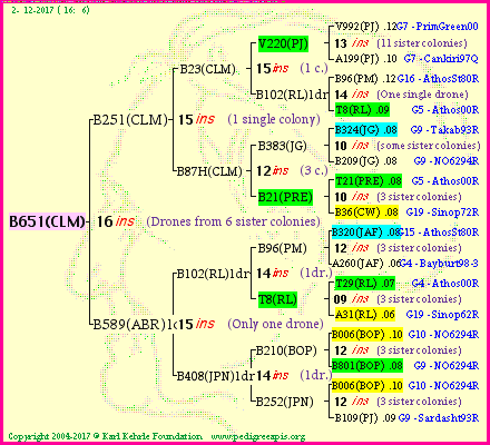 Pedigree of B651(CLM) :
four generations presented<br />it's temporarily unavailable, sorry!