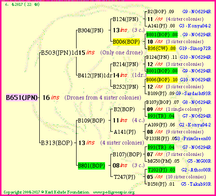 Pedigree of B651(JPN) :
four generations presented