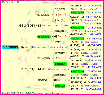 Pedigree of B652(BOP) :
four generations presented