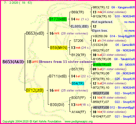 Pedigree of B653(AKO) :
four generations presented<br />it's temporarily unavailable, sorry!