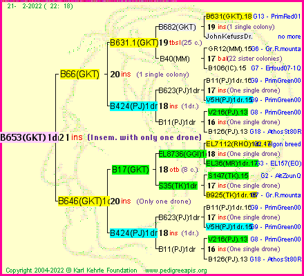 Pedigree of B653(GKT)1dr :
four generations presented
it's temporarily unavailable, sorry!