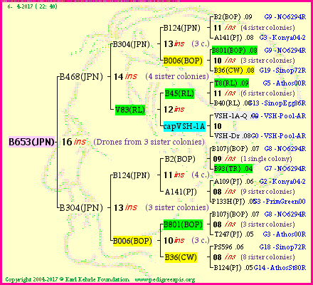 Pedigree of B653(JPN) :
four generations presented