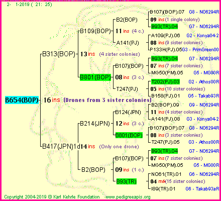 Pedigree of B654(BOP) :
four generations presented<br />it's temporarily unavailable, sorry!