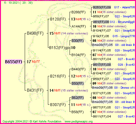 Pedigree of B655(FF) :
four generations presented
it's temporarily unavailable, sorry!