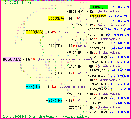 Pedigree of B656(MA) :
four generations presented
it's temporarily unavailable, sorry!