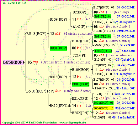 Pedigree of B658(BOP) :
four generations presented