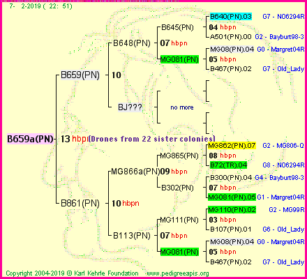 Pedigree of B659a(PN) :
four generations presented<br />it's temporarily unavailable, sorry!