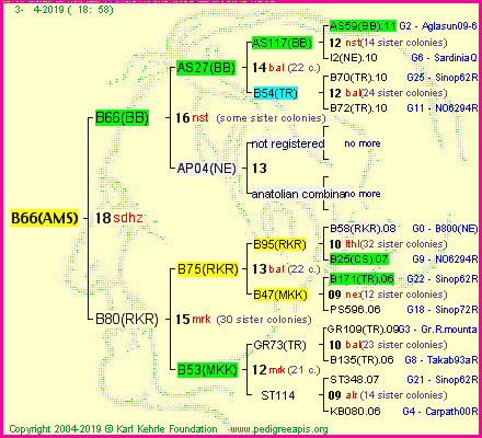 Pedigree of B66(AMS) :
four generations presented<br />it's temporarily unavailable, sorry!