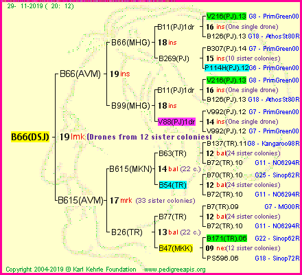 Pedigree of B66(DSJ) :
four generations presented
it's temporarily unavailable, sorry!