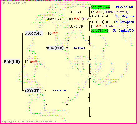 Pedigree of B66(GH) :
four generations presented