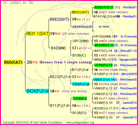 Pedigree of B66(GKT) :
four generations presented
it's temporarily unavailable, sorry!