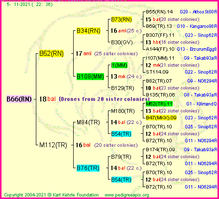 Pedigree of B66(RN) :
four generations presented
it's temporarily unavailable, sorry!