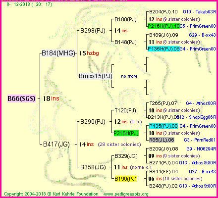 Pedigree of B66(SGS) :
four generations presented
it's temporarily unavailable, sorry!