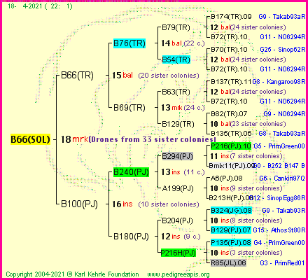 Pedigree of B66(SOL) :
four generations presented
it's temporarily unavailable, sorry!