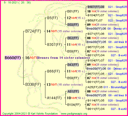 Pedigree of B660(FF) :
four generations presented
it's temporarily unavailable, sorry!